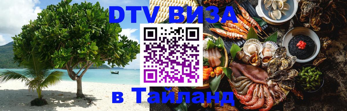 Оформление DTV визы под ключ: стоимость и тарифы, только загранпаспорт - 18.11.2025 